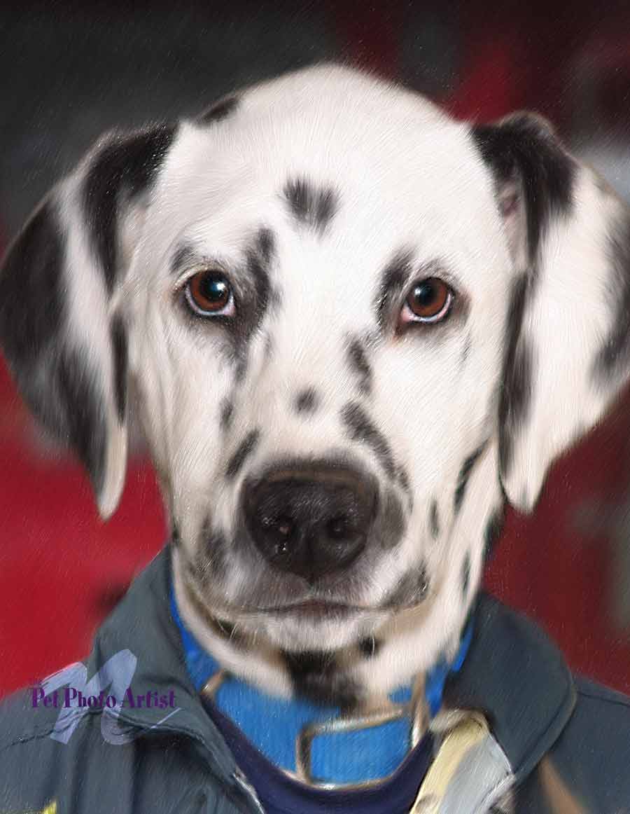 FUNNY DOG-SPOT