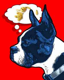 funny portrait of boxer and what he is thinking