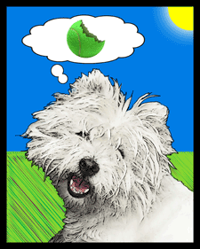 comic dog portraits of dog thinking of ball