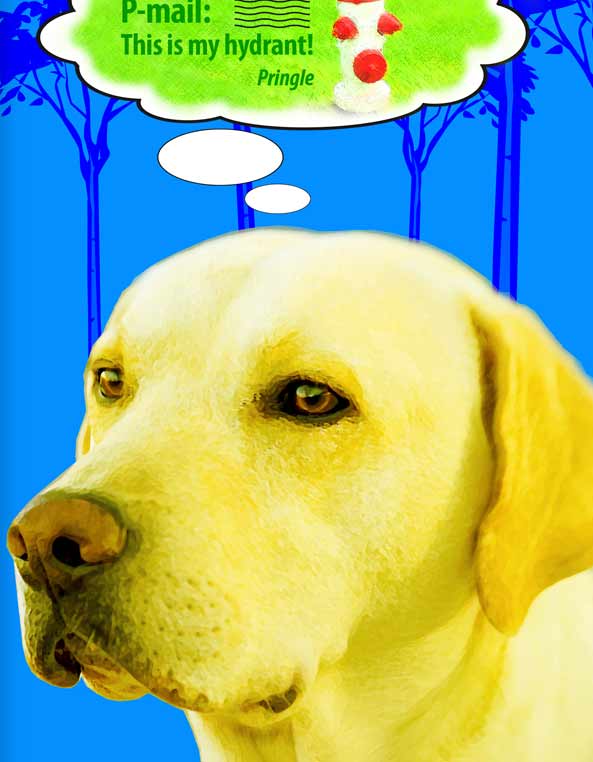 funny dog portrait of pringle