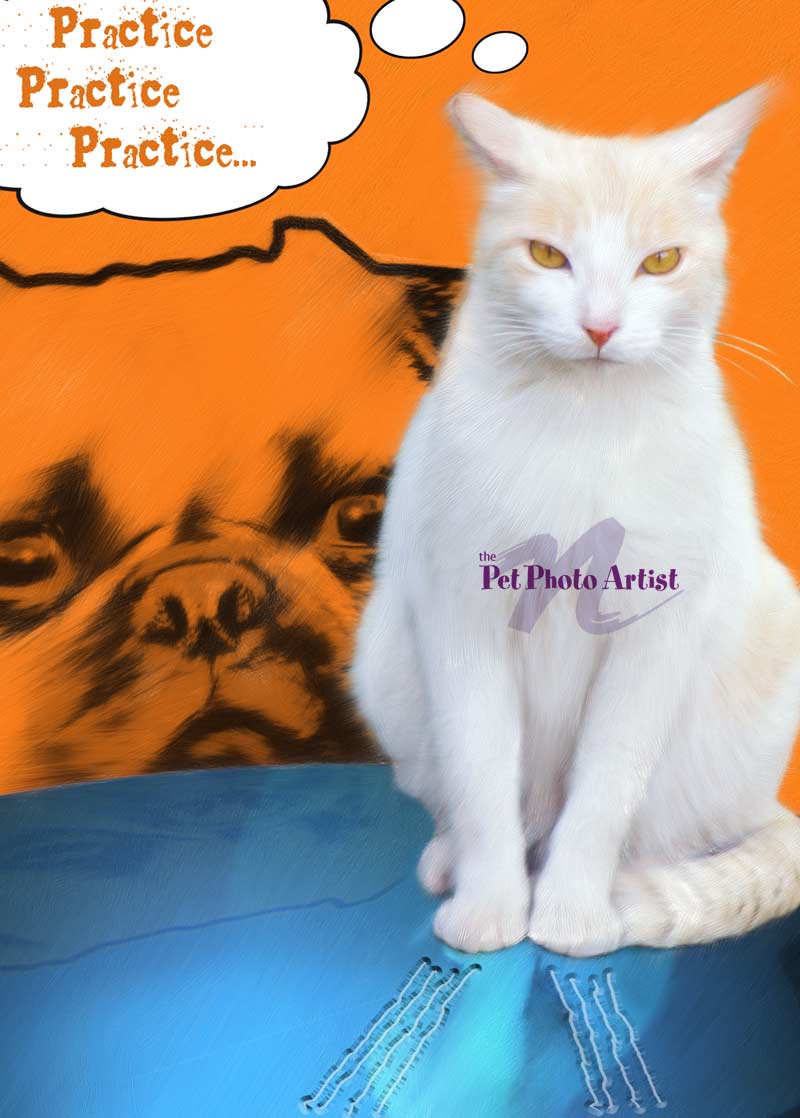 cat pop art portrait of Amber sharpening claws