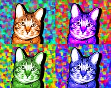 cat pop art