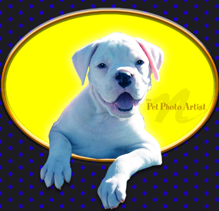 pop art portrait of Bingo