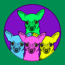 chihuahua pop art portrait