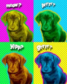 funny puppy portrait making sounds